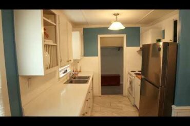 Morning glories in Raytown