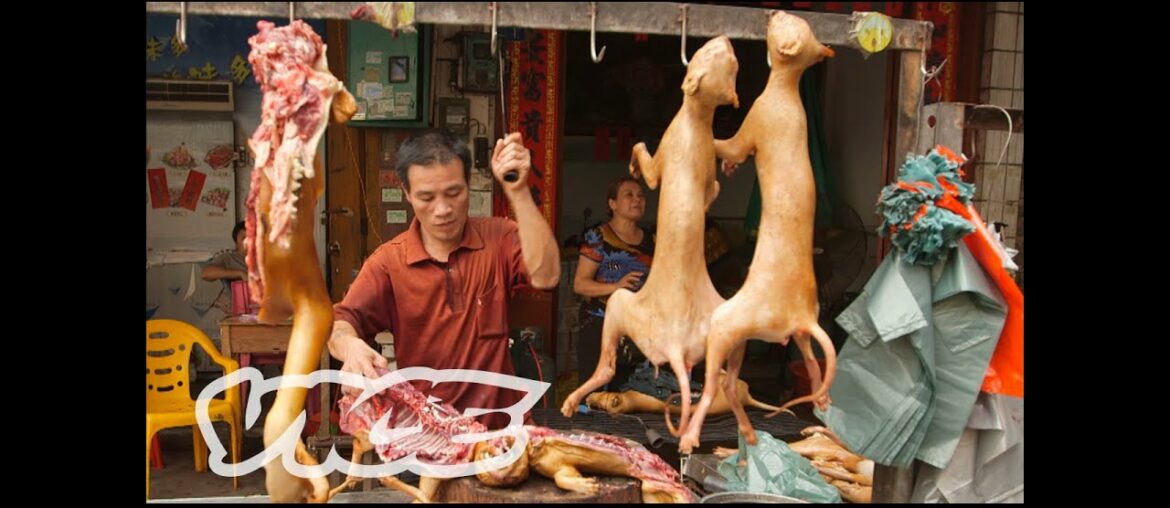 Dining on Dogs in China: Dog Days of Yulin (Part 1/2)