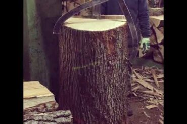 Wedge-splitting French oak log for Tonnellerie Cadus wine barrels at Canadell Stave Mill.