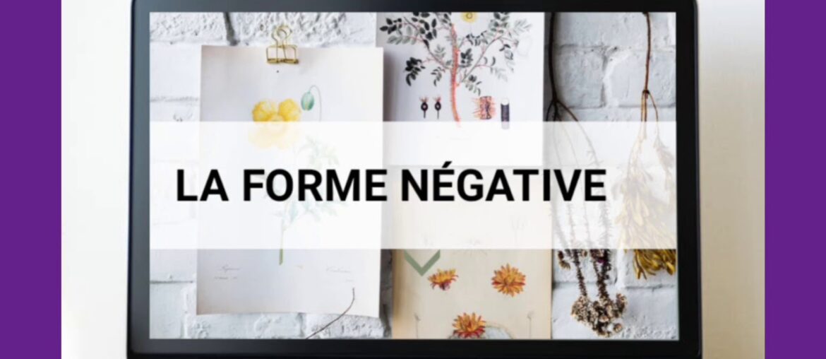 LEARN FRENCH| NEGATION IN FRENCH| FRENCH GRAMMAR