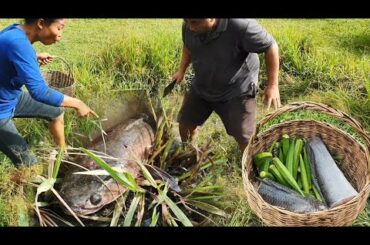 New recipe - finding fish with french corn for cooking & eat - Eating delicious