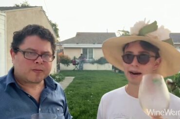 Grape Abduction Company Slovenian White Wine JP Bourgeois Imports