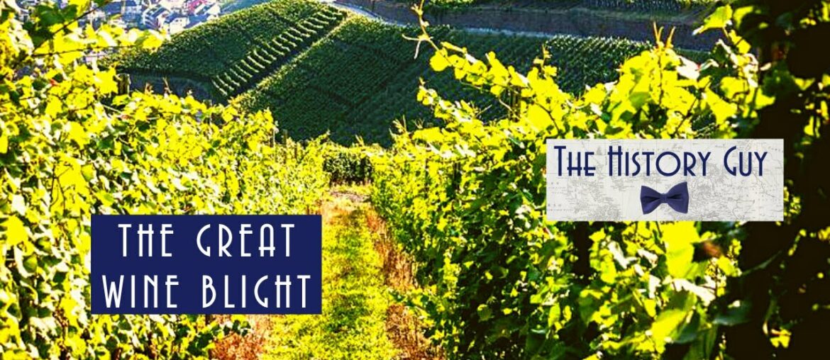 The Great Wine Blight The Great Wine Blight