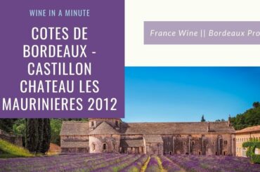 France Wine || Bordeaux Profile