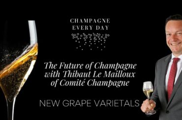 The new grape varietals of Champagne - Global warming & retaining acidity