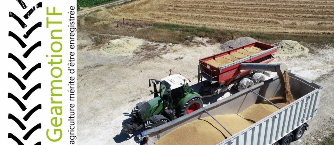 Harvest in France | Claas Tucano 560 montana | Perard 25m3