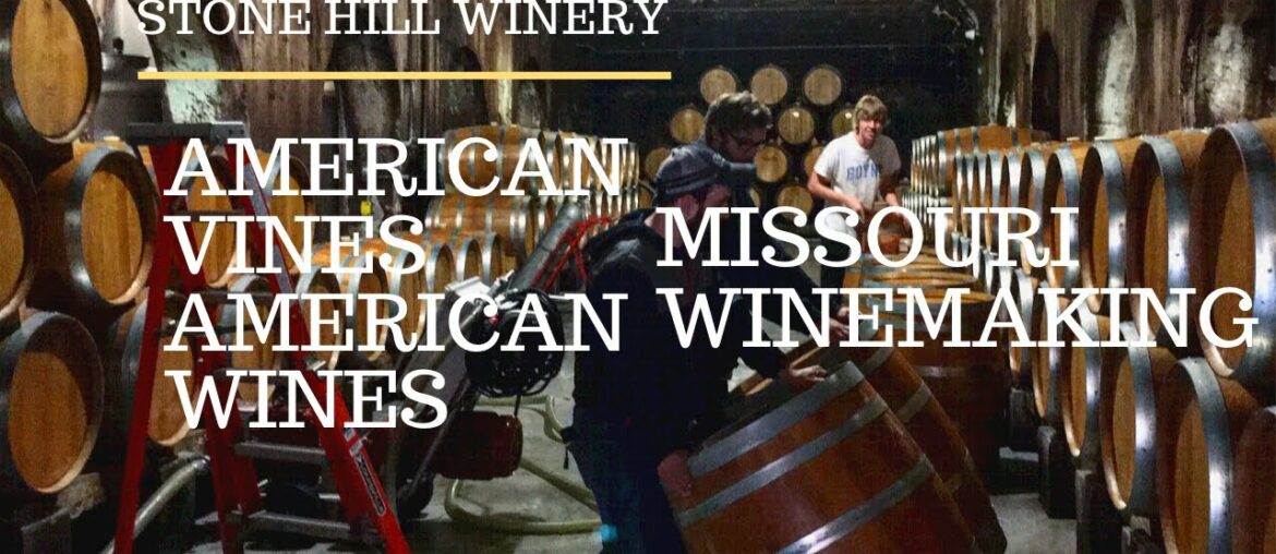 American Vines | American Wines: Missouri Winemaking American Vines | American Wines: Missouri Winemaking