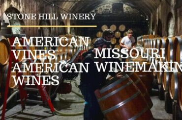 American Vines | American Wines: Missouri Winemaking