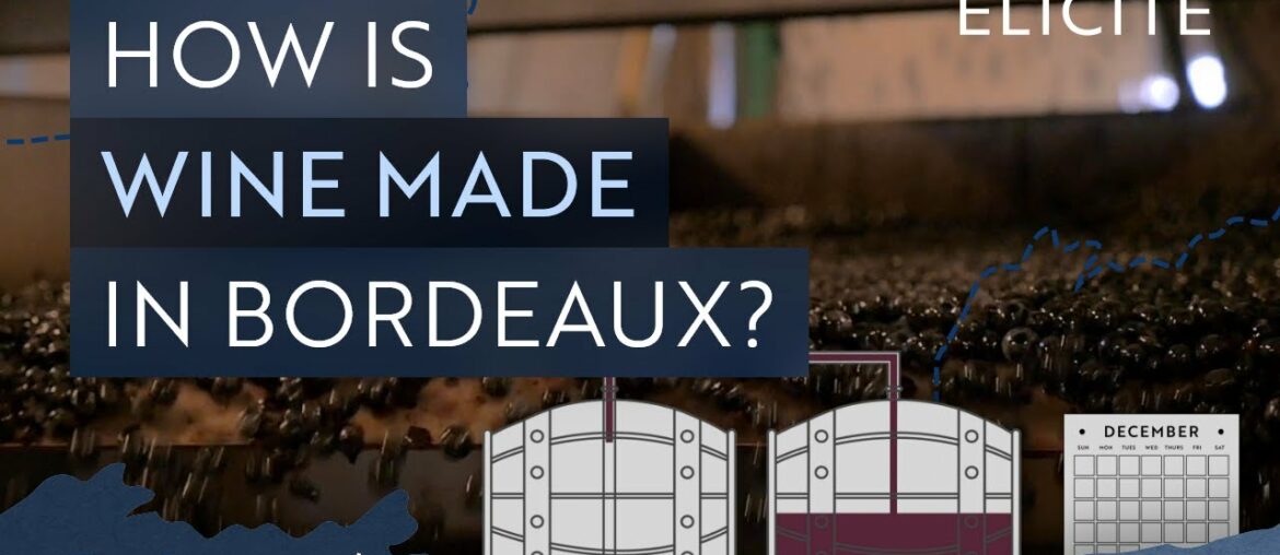 Red Winemaking in Bordeaux Explained