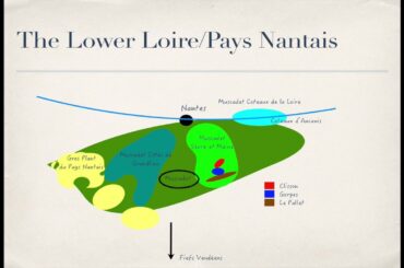 Winecast: Loire Valley, Part I