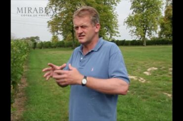 Explaining the AOC system in France