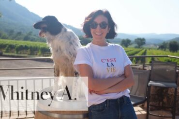 Drinking Rosé in Provence! | Whitney A.