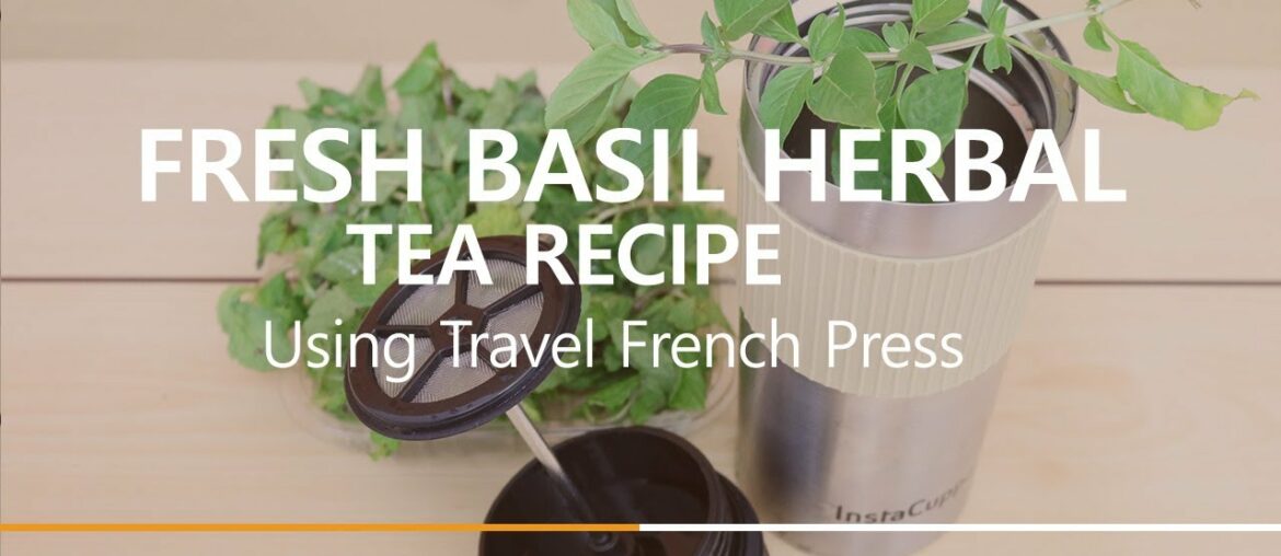 Fresh Basil Herbal Tea Recipe Using InstaCuppa Travel French Press Fresh Basil Herbal Tea Recipe Using InstaCuppa Travel French Press