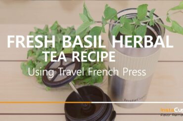 Fresh Basil Herbal Tea Recipe Using InstaCuppa Travel French Press