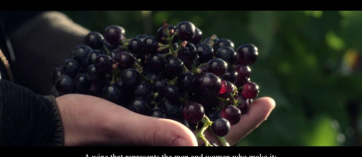 What is a Reflets de France wine ?