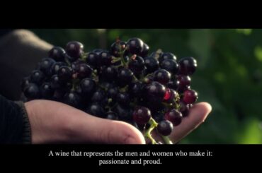 What is a Reflets de France wine ?