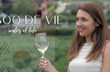 [한글자막] Half-Korean Boss Lady in Korea | Is Korea Ready for a Mixed CEO?