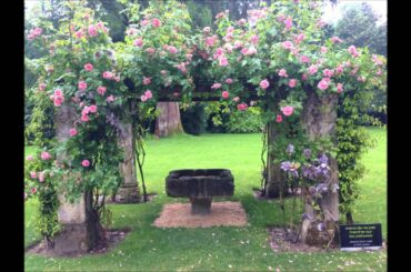 SSU France Wine Trip Enhanced