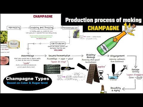 Champagne making process // champagne vs sparkling wine // How to make sparkling wine // Champagne making process // champagne vs sparkling wine // How to make sparkling wine //