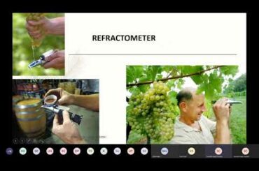 Wine- Grape varieties Part=1