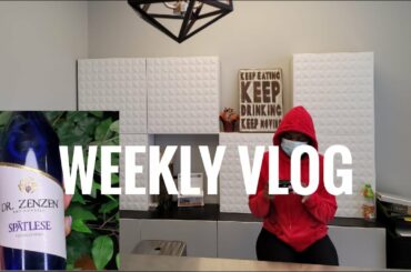 WEEKLY VLOG| LASER HAIR REMOVAL| FRENCH WINE| CAMERA BROKE| ASHDASH ANGINA