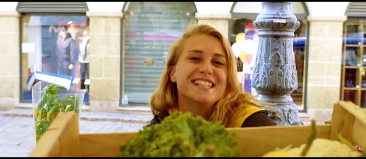 Wines of Provence The Taste of Style