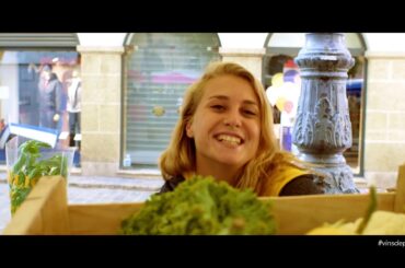 Wines of Provence The Taste of Style