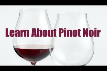Learn About Pinot Noir - Wine 101/Wine Class