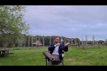 How To, Taste Then Drink René Cacheux Vosne Romanée