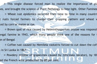 B. Sc., Botany, III year, Plant Pathology,  By Dr. Shubhangi Chavan