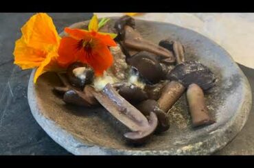 Braised Wine Cap with Artisanal Butter