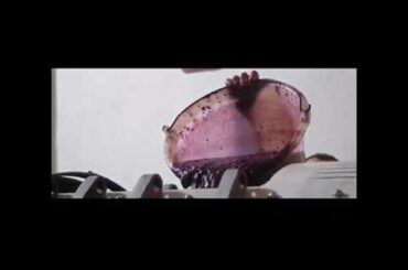 Domaine Viticole/French Winery