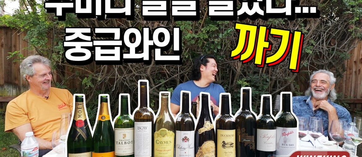 Tasting Mid-Priced Wines. 11 bottles!(Moet Chandon,Veuve Cliquot,Camus,Duckhorn,Musar,Iscay...)