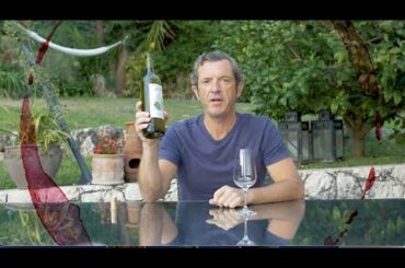 Taste with Brad . JOY Sauvignon Blanc 2019 (France)