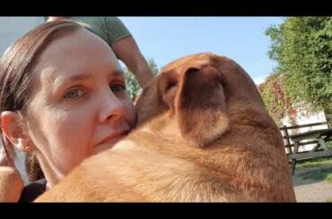 A day at Regalrouge Dogue de Bordeaux and French Bulldogs ❤🐾