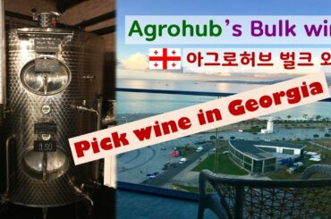 Pick wine in Georgia - Agrohub's bulk wine. 조지아 와인 추천 - 유기농마트 아그로허브의 벌크와인