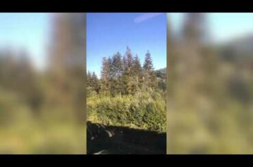 A fun day in Strasbourg, France