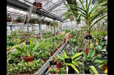 A visit to the Luxembourg gardens greenhouses (September 2020)
