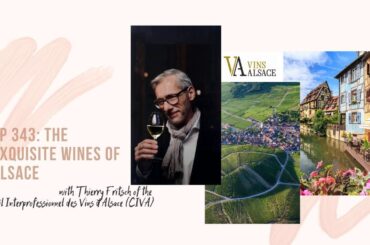 Ep 343: The Exquisite Wines of Alsace with Thierry Fritsch of the Conseil Interprofessionnel des...