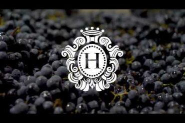 Herzog Wine Cellars x Stags Leap