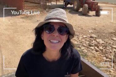 LaTourba Winery & Farm Saghbine, Bekaa Valley, Lebanon: Wine Making, Lunch and The French Cows