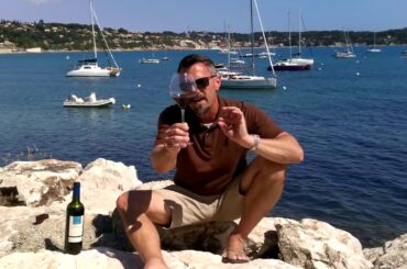 Mourvedre in Bandol Provence, France - Know Wine In No Time