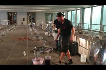 The baptism working at a French winery at harvest, I'm next!