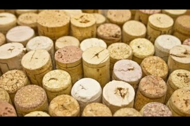 A process using 'fluid' carbon dioxide could stop your wine from spoiling