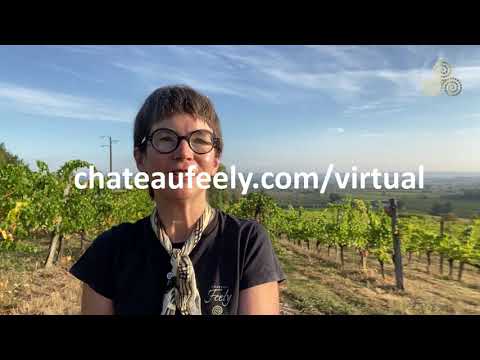 Caro Feely's Virtual Tour of Saint-Emilion Caro Feely's Virtual Tour of Saint-Emilion