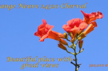 Live the good life in France. 5 bed house for sale suitable for B&B with self contained apartment.