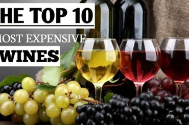 THE TOP 10 MOST EXPENSIVE WINES IN THE WORLD.