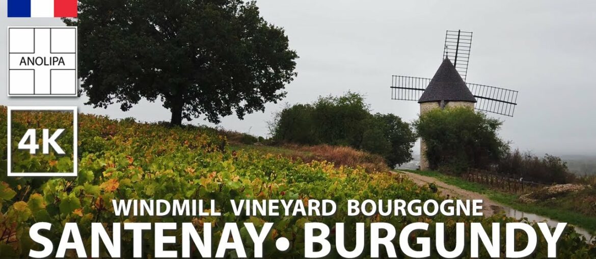 Bourgogne Santenay - VINEYARD windmill Lacomme 1er cru 🇫🇷【4K】Walking FRANCE [BURGUNDY]