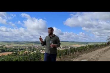 The French Wine Centre - France 2020 - Update 6