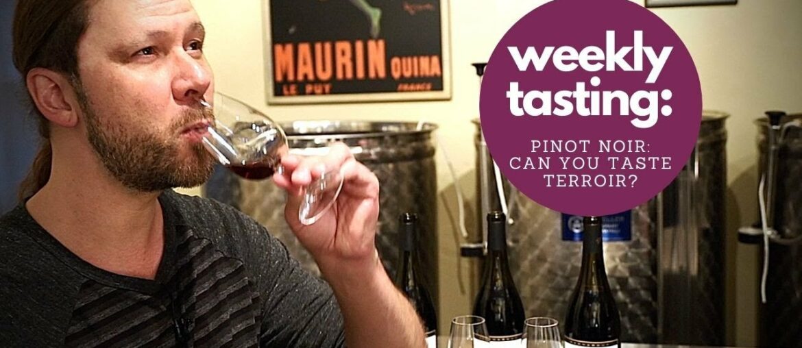 Can you Taste Terroir? Wine Tasting Like a Pro With Marc Supsic Can you Taste Terroir? Wine Tasting Like a Pro With Marc Supsic